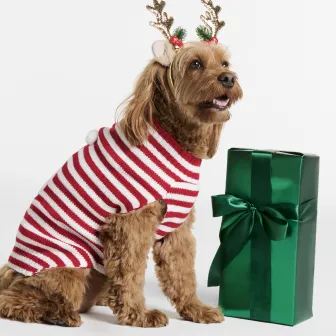 Gifts For The Pet Parent