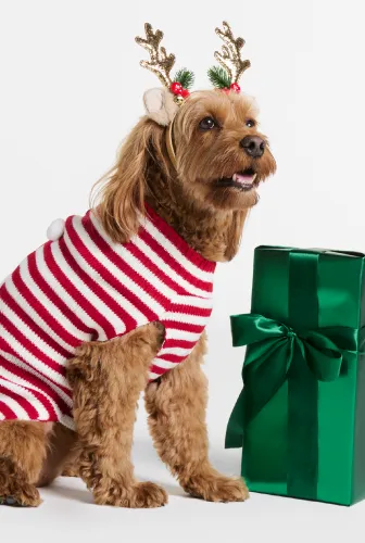 Gifts For The Pet Parent