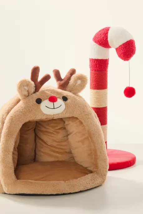Gifts For The Pet Parent