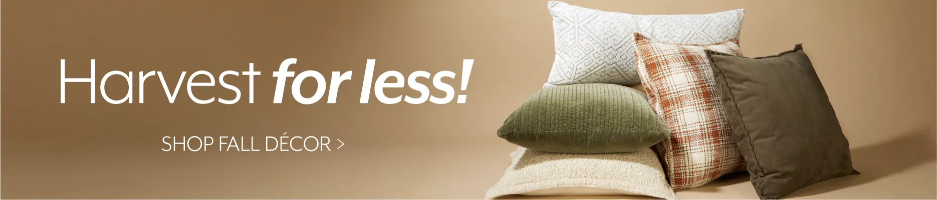 Harvest for less - Shop Fall Decor