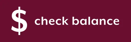Check Balance