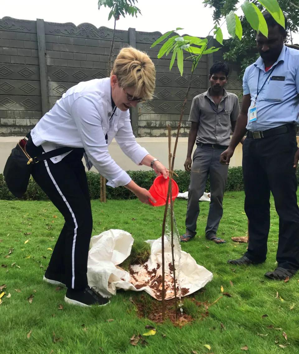 ENVIRONMENT CLIMATE & CONSUMPTION